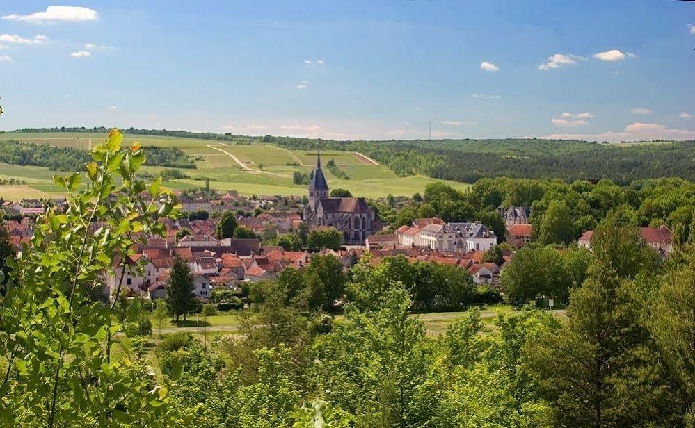La Promenade En Champagne Bed & Breakfast Mussy-sur-Seine Ngoại thất bức ảnh